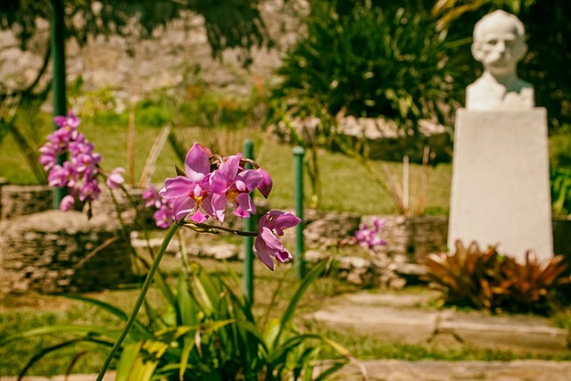 El jardín de las orquídeas