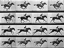 PRIMERA IMAGEN MOVIMIENTO: CINE