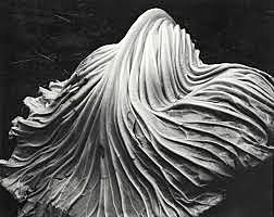Edward Weston