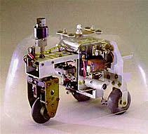 Tortue cybernétique