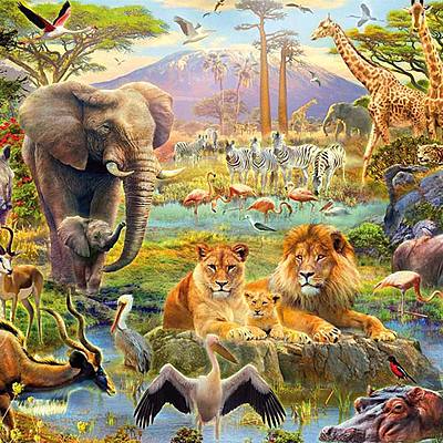 Timeline: Línea de Tiempo de la Evolución  de los Animales