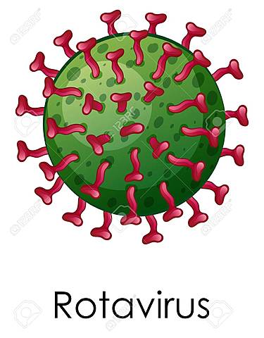 Rotavirus: Diarrea por rotavirus