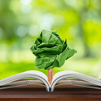 Timeline: Grandes hechos de la Educación Ambiental