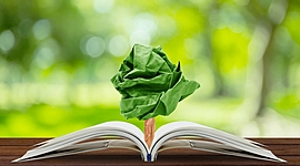 Timeline: Grandes hechos de la Educación Ambiental