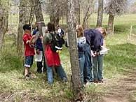 Conferencia Internacional sobre el Medio ambiente y Sociedad.