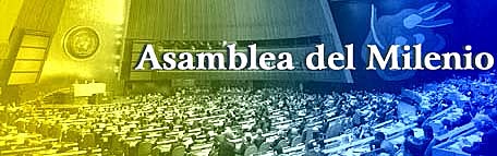 Cumbre del Milenio de las Naciones Unidas.