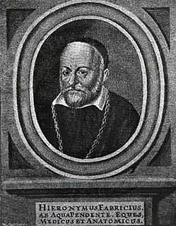 Fabricius