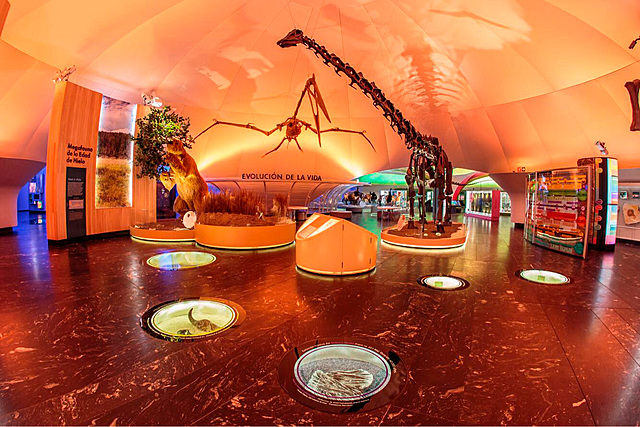 Zoologia de invertebrados