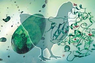 Se da a conocer el concepto de "especie"