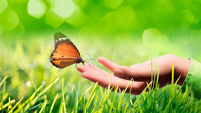 Interacción de los elementos naturales y antrópicos con el hombre