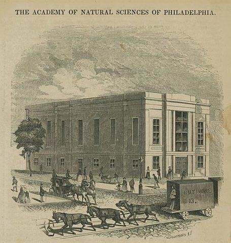 Se organiza la Academy of natural sciences of Philadelphia