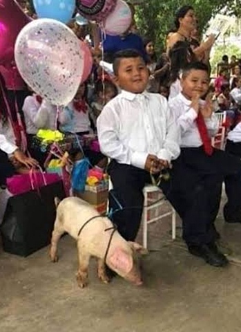 Me gradué de la secundaria