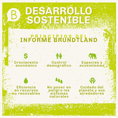 INFORME BRUNDTLAND
