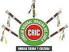 Nacimiento de Organizaciones Indigenas