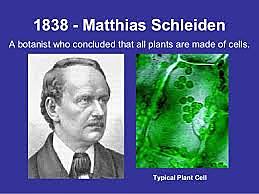 Mattías Schleiden