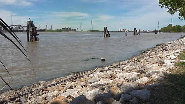 Levee Construction Begins