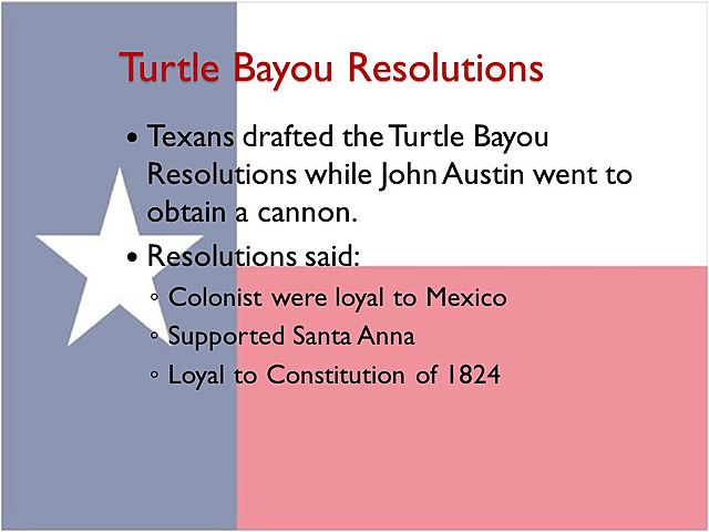 Turtle Bayou Resolution