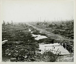 La bataille de Festubert et Givenchy