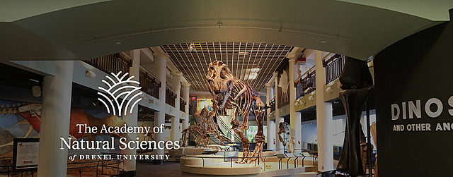 Se organiza la Academy of natural sciences of Philadelphia