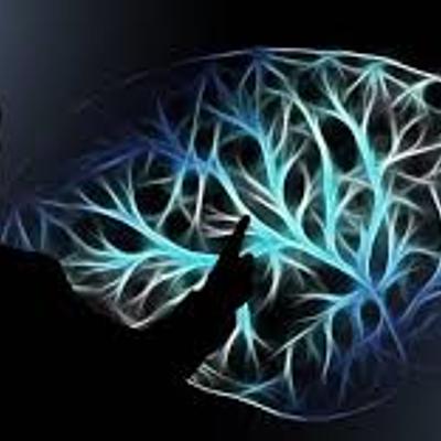 Timeline: Historia y Sistemas teóricos de la Psicologia Contemporanea