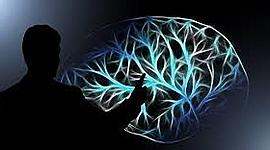 Timeline: Historia y Sistemas teóricos de la Psicologia Contemporanea