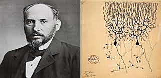 Santiago Ramón y Cajal