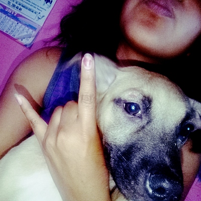 Timeline: obtuve mi perro