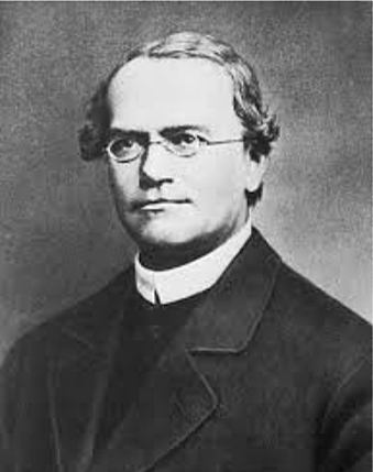 Gregor Mendel