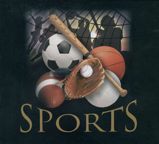 Sports Indistry