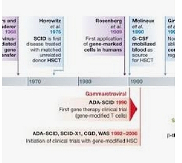 First use of gene therapy to reat disease