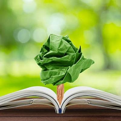 Timeline: educación ambiental