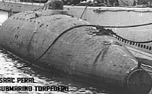 El submarí