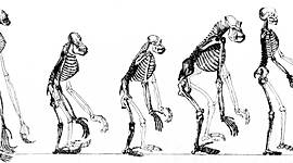 Timeline: Vida y obra de Charles Darwin