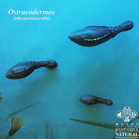 Período Ordovícico (Era Paleozoica)