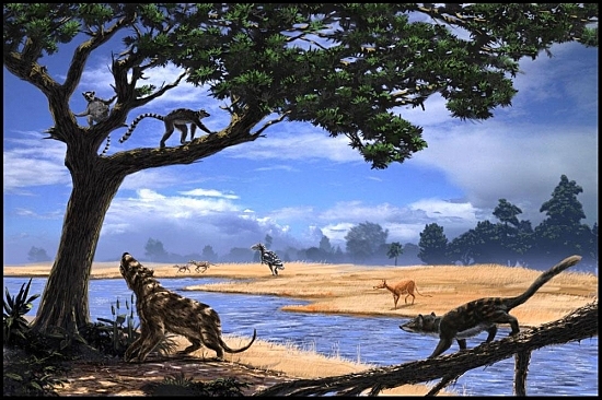 Época Eoceno (Era Mesozoica, Período Terciario)