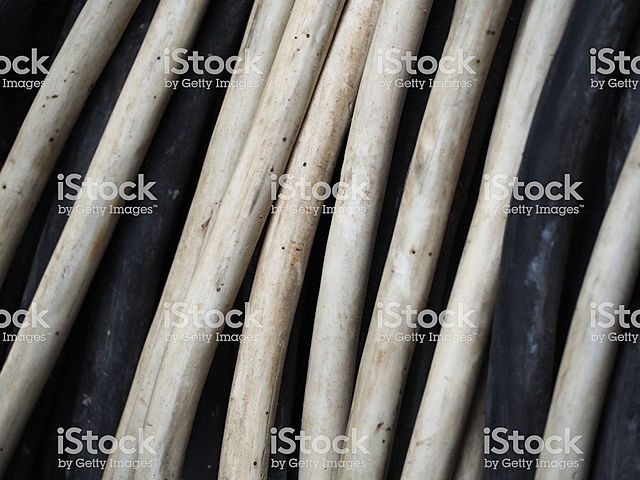 LOS SONIDOS A TRAVÉS DE UN CABLE