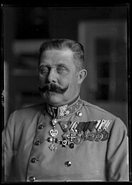 The assassination of Archduke Ferdinand