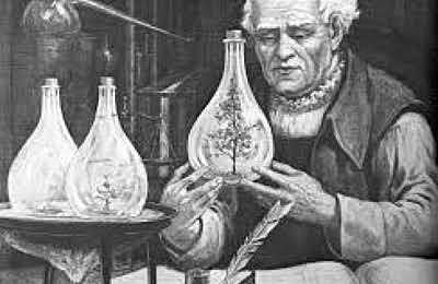 Clasificación sistemática de las plantas