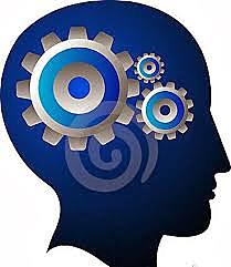 Principios de la psicología