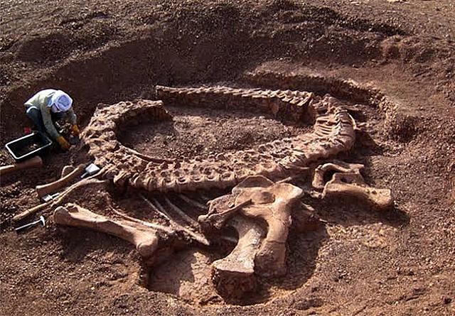 Estudio de la paleontologia