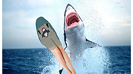 Timeline: School career