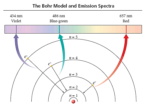 Developed the Bohr Model of the Atom