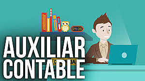 Estudio Técnico. Aux Contable