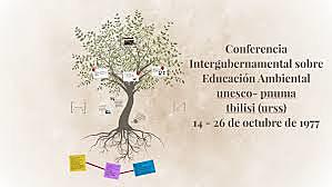TBILISI CONFERENCIA INTERGUBERNAMENTAL SOBRE EDUCACION  AMBIENTAL