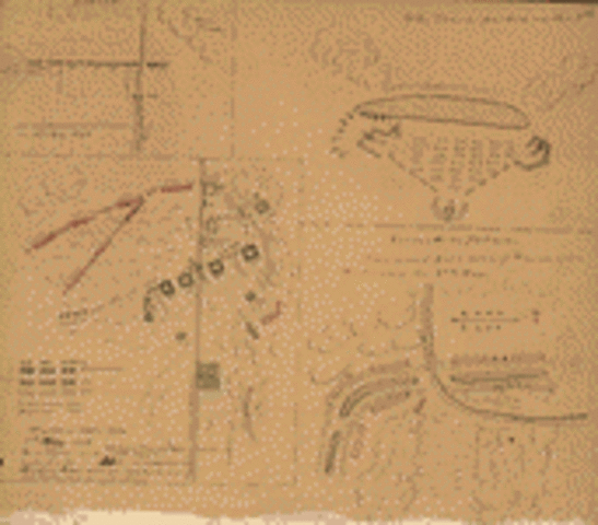 Battle of Palo Alto won by Taylors army