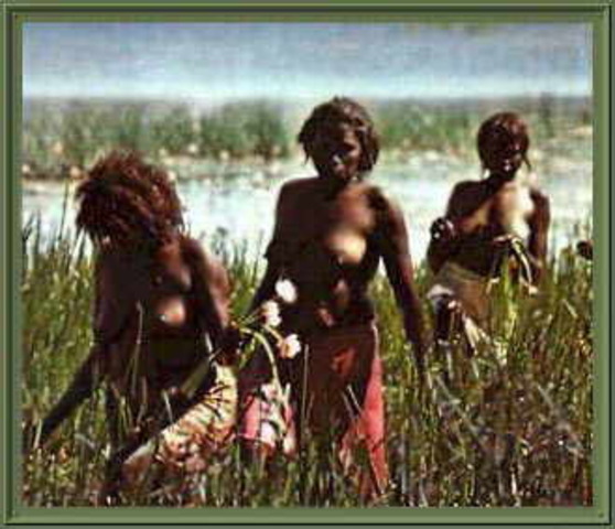 Aborigines woman gathering food