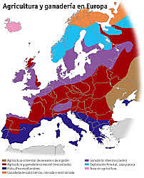 CEREALES EN LOS DISTINTOS PAISES