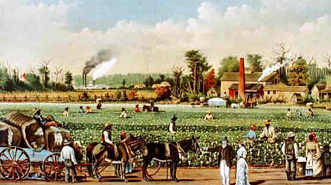 The Colony of Carolina