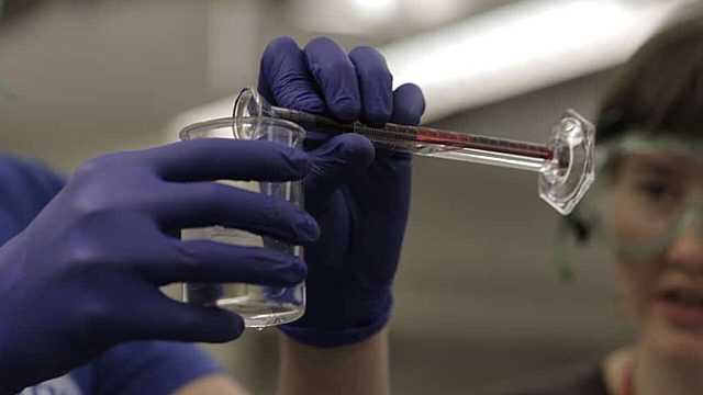 La experimentación educacional