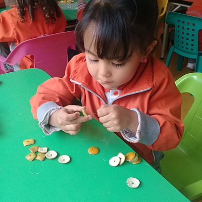 Timeline: historia del currículo